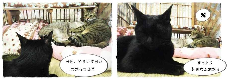 f:id:nyan-chuke:20190418004822j:plain f:id:nyan-chuke:20190418004822j:plain