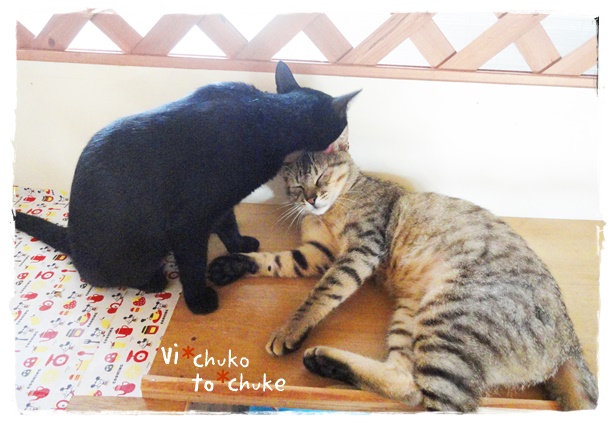 f:id:nyan-chuke:20190418215303j:plain f:id:nyan-chuke:20190418215303j:plain
