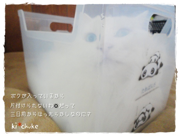 f:id:nyan-chuke:20190503142431j:plain f:id:nyan-chuke:20190503142431j:plain