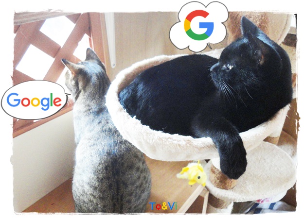 f:id:nyan-chuke:20190508142707j:plain f:id:nyan-chuke:20190508142707j:plain