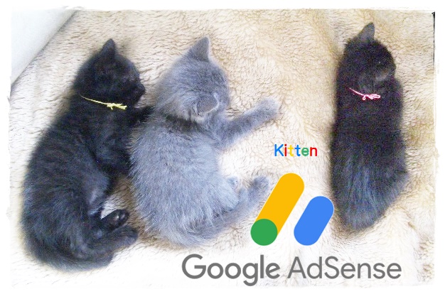 f:id:nyan-chuke:20190508145614j:plain f:id:nyan-chuke:20190508145614j:plain