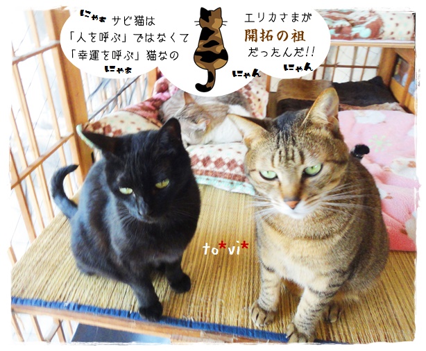 f:id:nyan-chuke:20190515125441j:plain f:id:nyan-chuke:20190515125441j:plain