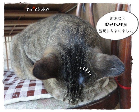 f:id:nyan-chuke:20190515223920j:plain f:id:nyan-chuke:20190515223920j:plain