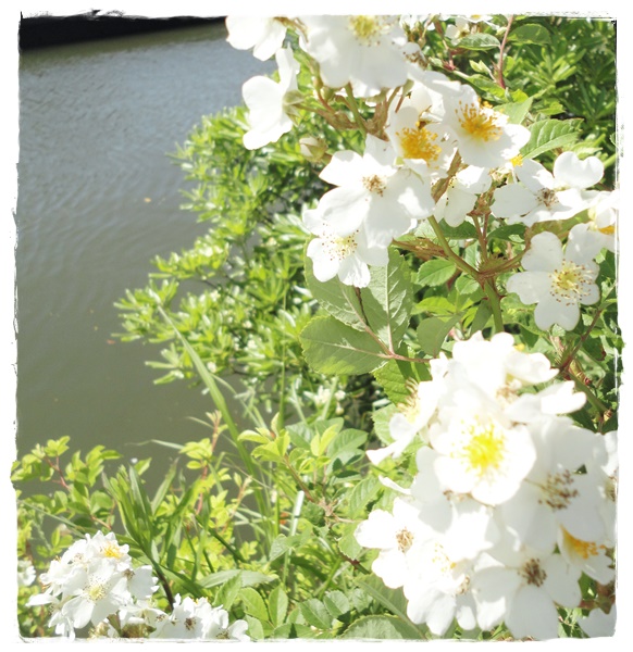 f:id:nyan-chuke:20190523141956j:plain f:id:nyan-chuke:20190523141956j:plain