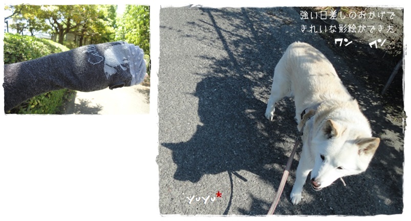 f:id:nyan-chuke:20190524131947j:plain f:id:nyan-chuke:20190524131947j:plain
