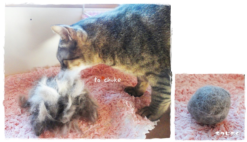f:id:nyan-chuke:20190524134441j:plain f:id:nyan-chuke:20190524134441j:plain
