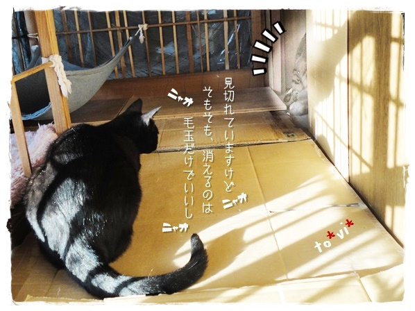 f:id:nyan-chuke:20190524151355j:plain f:id:nyan-chuke:20190524151355j:plain