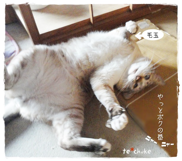 f:id:nyan-chuke:20190524151744j:plain f:id:nyan-chuke:20190524151744j:plain