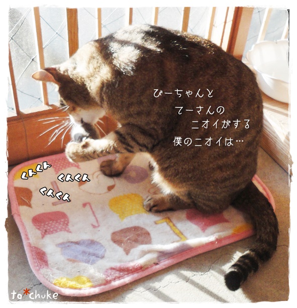 f:id:nyan-chuke:20190524151833j:plain f:id:nyan-chuke:20190524151833j:plain