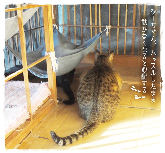 f:id:nyan-chuke:20190524152007j:plain f:id:nyan-chuke:20190524152007j:plain