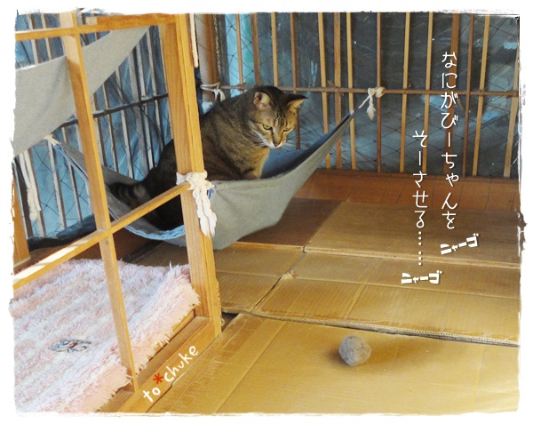f:id:nyan-chuke:20190524152018j:plain f:id:nyan-chuke:20190524152018j:plain