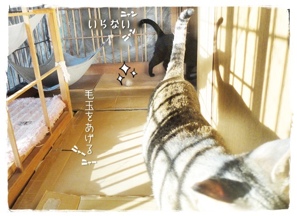 f:id:nyan-chuke:20190524152425j:plain f:id:nyan-chuke:20190524152425j:plain