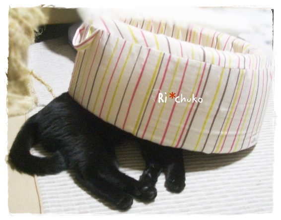 f:id:nyan-chuke:20190528151317j:plain f:id:nyan-chuke:20190528151317j:plain