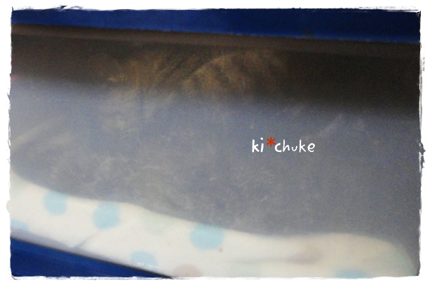 f:id:nyan-chuke:20190528191007j:plain f:id:nyan-chuke:20190528191007j:plain
