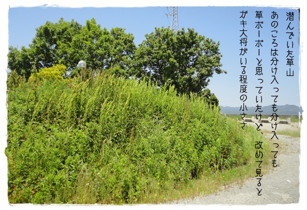 f:id:nyan-chuke:20190604221939j:plain f:id:nyan-chuke:20190604221939j:plain