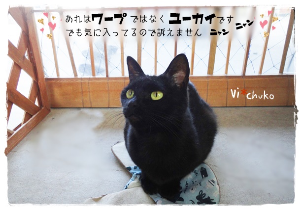 f:id:nyan-chuke:20190605005704j:plain f:id:nyan-chuke:20190605005704j:plain