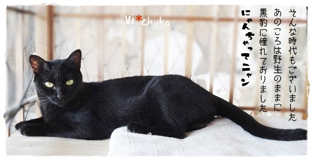 f:id:nyan-chuke:20190605124812j:plain f:id:nyan-chuke:20190605124812j:plain