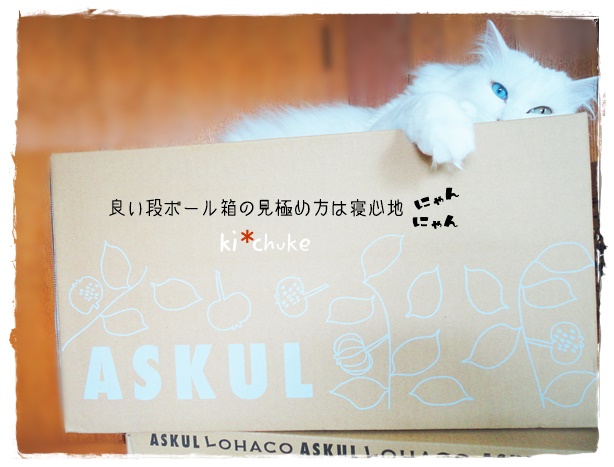 f:id:nyan-chuke:20190609151012j:plain f:id:nyan-chuke:20190609151012j:plain