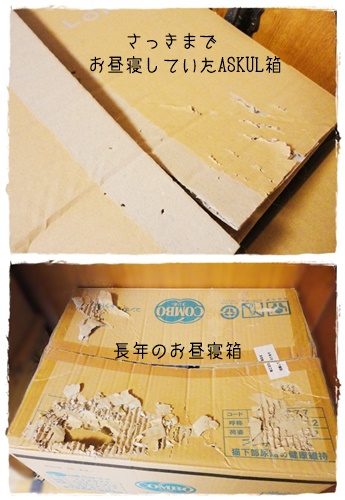 f:id:nyan-chuke:20190609195908j:plain f:id:nyan-chuke:20190609195908j:plain
