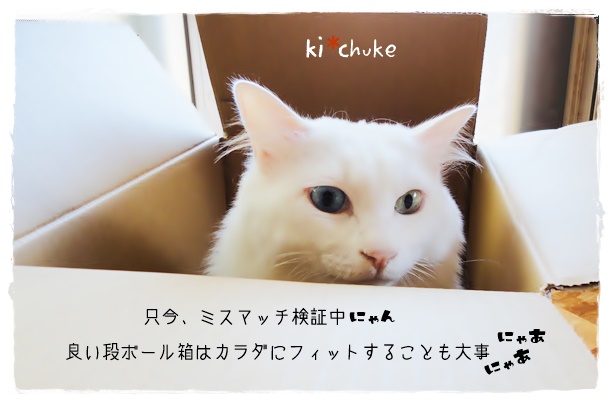 f:id:nyan-chuke:20190609204826j:plain f:id:nyan-chuke:20190609204826j:plain