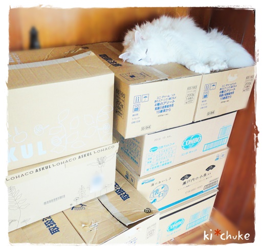 f:id:nyan-chuke:20190610150222j:plain f:id:nyan-chuke:20190610150222j:plain