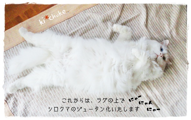 f:id:nyan-chuke:20190610151830j:plain f:id:nyan-chuke:20190610151830j:plain