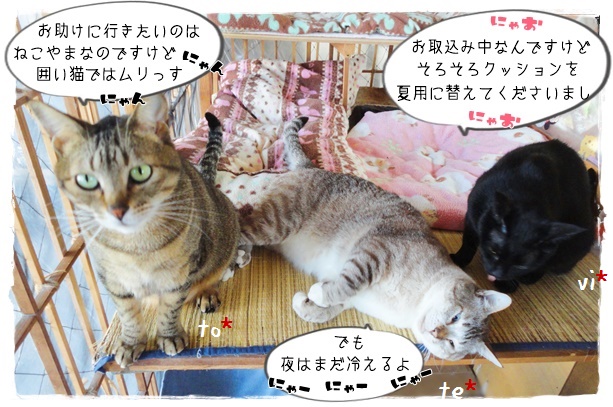 f:id:nyan-chuke:20190704212122j:plain f:id:nyan-chuke:20190704212122j:plain