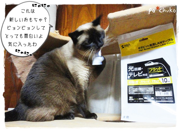 f:id:nyan-chuke:20190704234341j:plain f:id:nyan-chuke:20190704234341j:plain