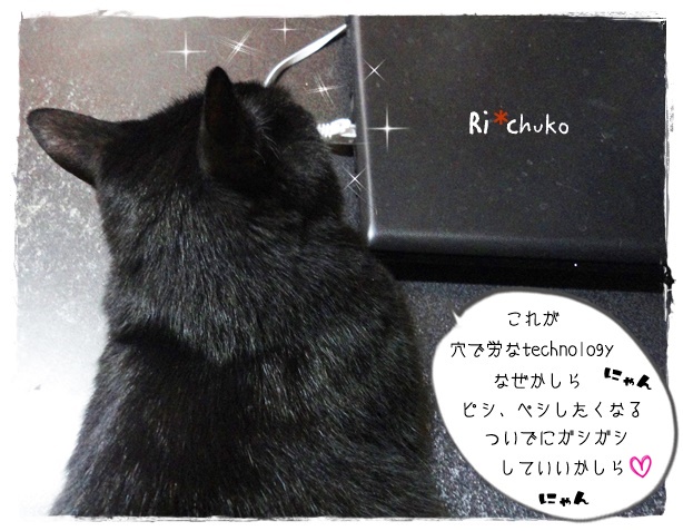 f:id:nyan-chuke:20190705122045j:plain f:id:nyan-chuke:20190705122045j:plain