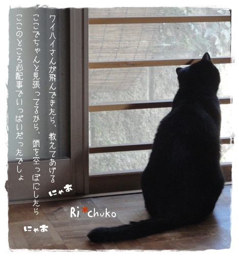 f:id:nyan-chuke:20190705125934j:plain f:id:nyan-chuke:20190705125934j:plain