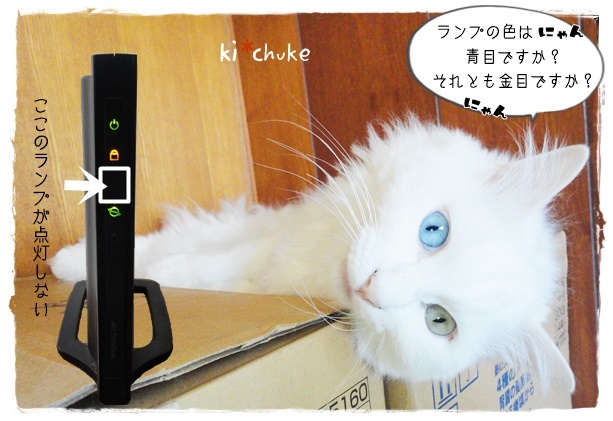 f:id:nyan-chuke:20190705130506j:plain f:id:nyan-chuke:20190705130506j:plain