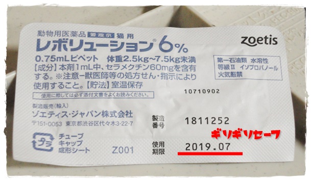 f:id:nyan-chuke:20190710220526j:plain f:id:nyan-chuke:20190710220526j:plain