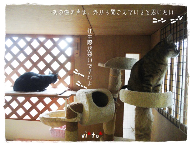 f:id:nyan-chuke:20190710233602j:plain f:id:nyan-chuke:20190710233602j:plain