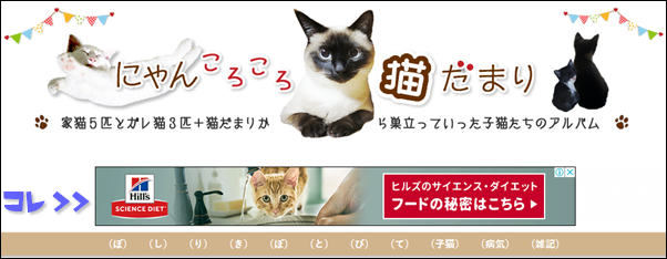 f:id:nyan-chuke:20190712133017p:plain f:id:nyan-chuke:20190712133017p:plain