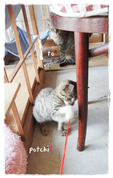 f:id:nyan-chuke:20190712140207j:plain f:id:nyan-chuke:20190712140207j:plain