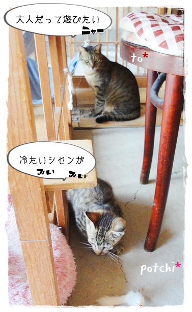 f:id:nyan-chuke:20190712140224j:plain f:id:nyan-chuke:20190712140224j:plain