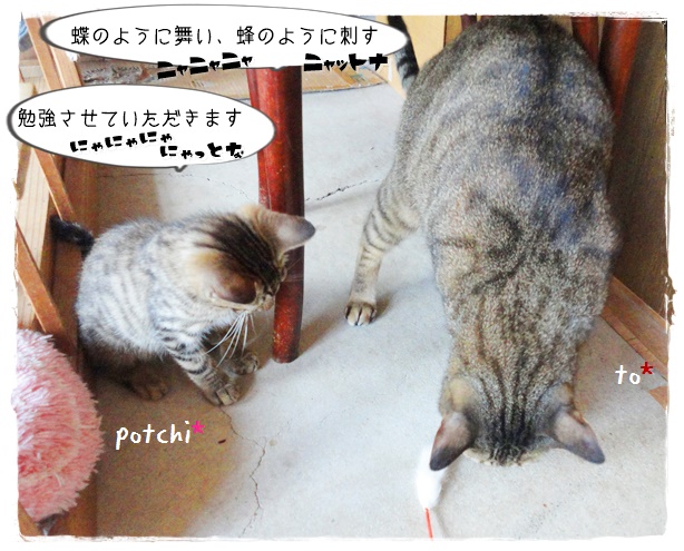 f:id:nyan-chuke:20190712140239j:plain f:id:nyan-chuke:20190712140239j:plain
