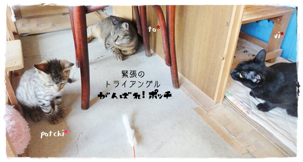 f:id:nyan-chuke:20190712140305j:plain f:id:nyan-chuke:20190712140305j:plain