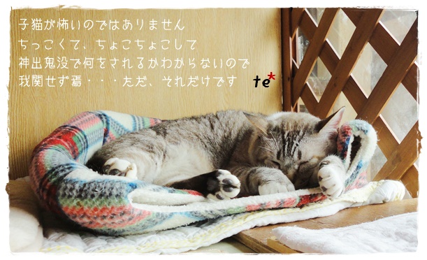 f:id:nyan-chuke:20190712140322j:plain f:id:nyan-chuke:20190712140322j:plain