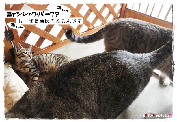 f:id:nyan-chuke:20190716211439j:plain f:id:nyan-chuke:20190716211439j:plain