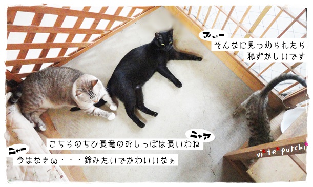 f:id:nyan-chuke:20190716211453j:plain f:id:nyan-chuke:20190716211453j:plain