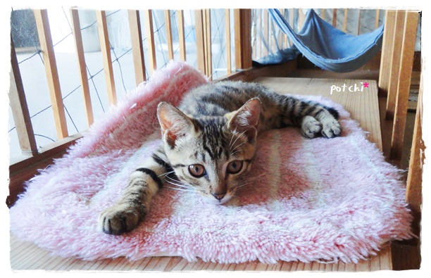 f:id:nyan-chuke:20190717134442j:plain f:id:nyan-chuke:20190717134442j:plain