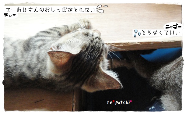 f:id:nyan-chuke:20190717150347j:plain f:id:nyan-chuke:20190717150347j:plain