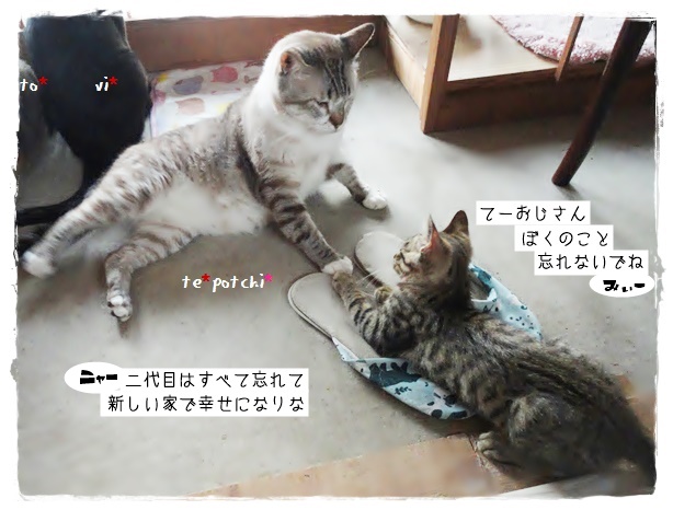f:id:nyan-chuke:20190717153724j:plain f:id:nyan-chuke:20190717153724j:plain