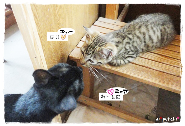 f:id:nyan-chuke:20190717153737j:plain f:id:nyan-chuke:20190717153737j:plain