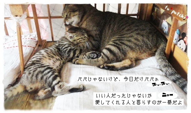 f:id:nyan-chuke:20190717184251j:plain f:id:nyan-chuke:20190717184251j:plain