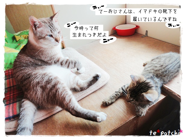 f:id:nyan-chuke:20190724000220j:plain f:id:nyan-chuke:20190724000220j:plain