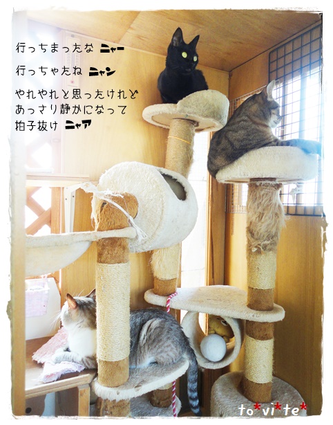 f:id:nyan-chuke:20190724192406j:plain f:id:nyan-chuke:20190724192406j:plain