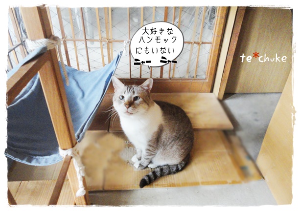 f:id:nyan-chuke:20190724200207j:plain f:id:nyan-chuke:20190724200207j:plain