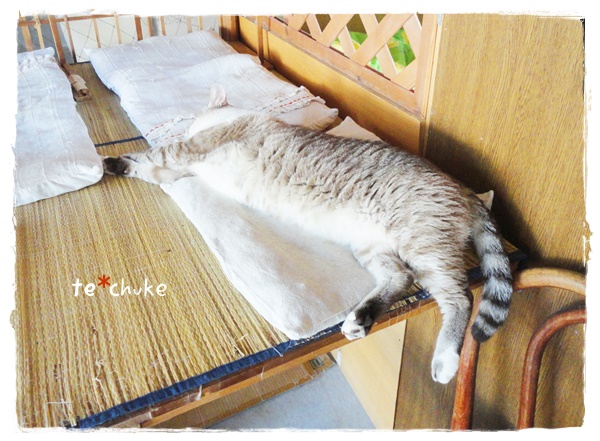 f:id:nyan-chuke:20190731145649j:plain f:id:nyan-chuke:20190731145649j:plain